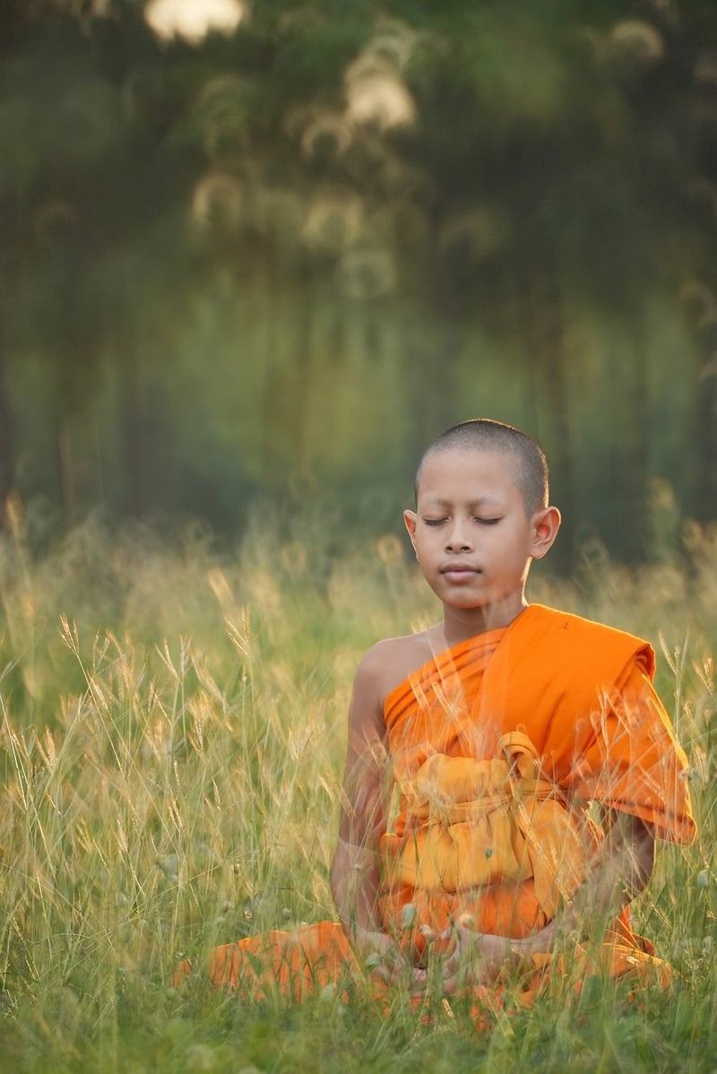 Meditation for Silent Knowledge